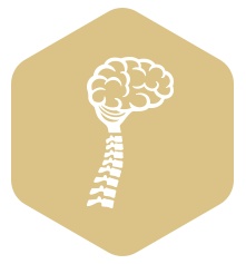 Neurosurgery